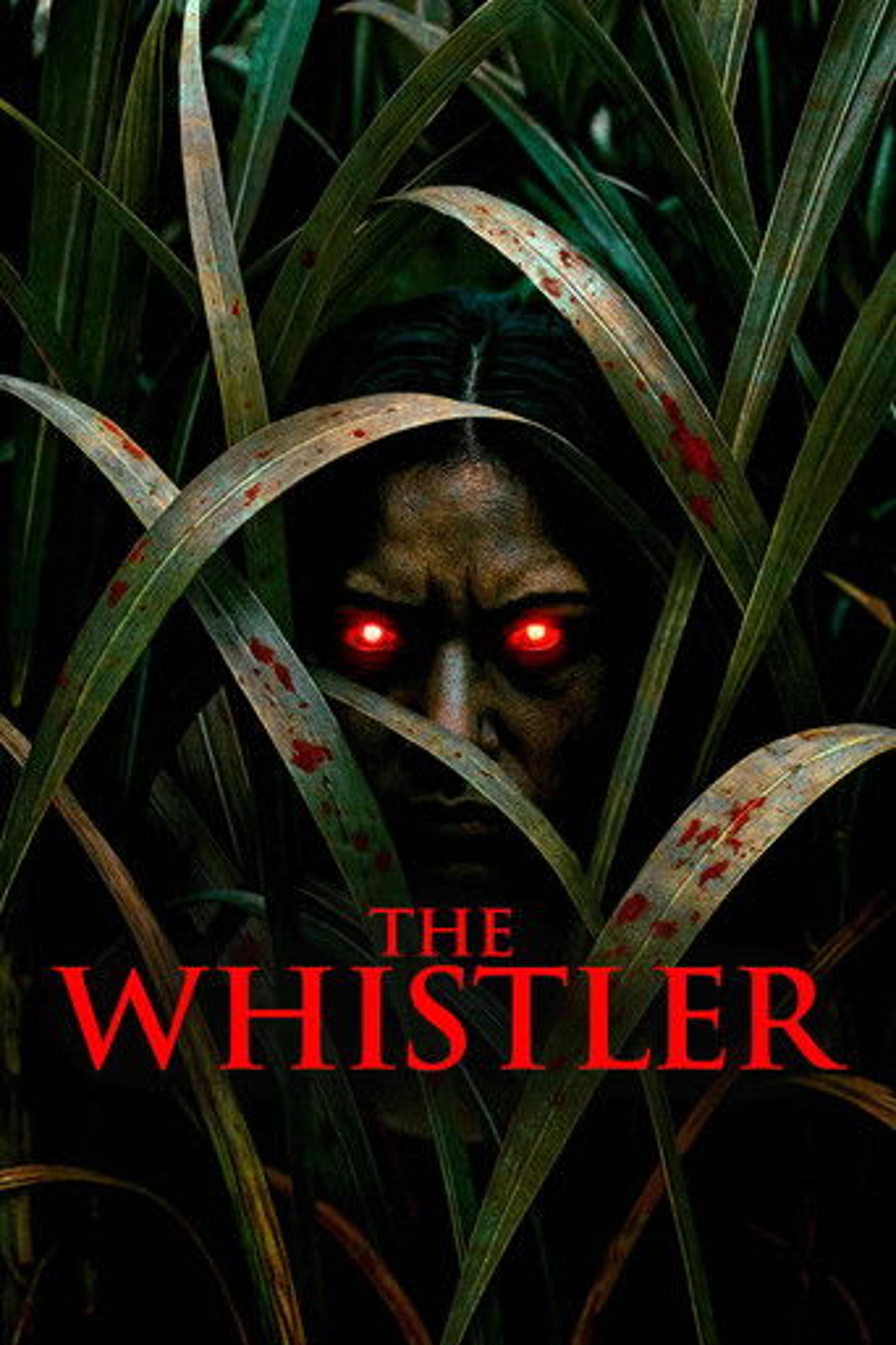 Poster film The Whistler