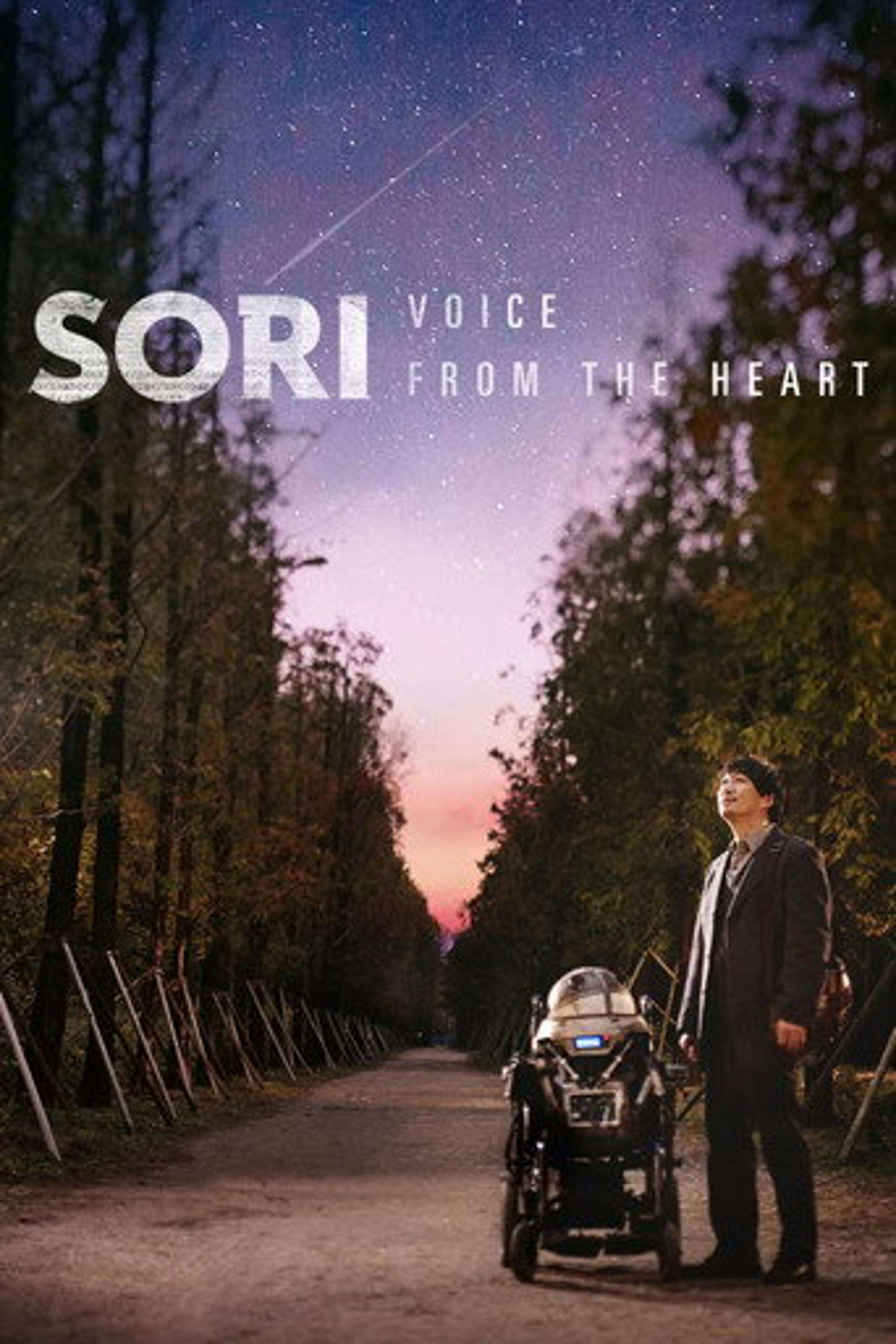 Poster film Sori: Voice from the Heart