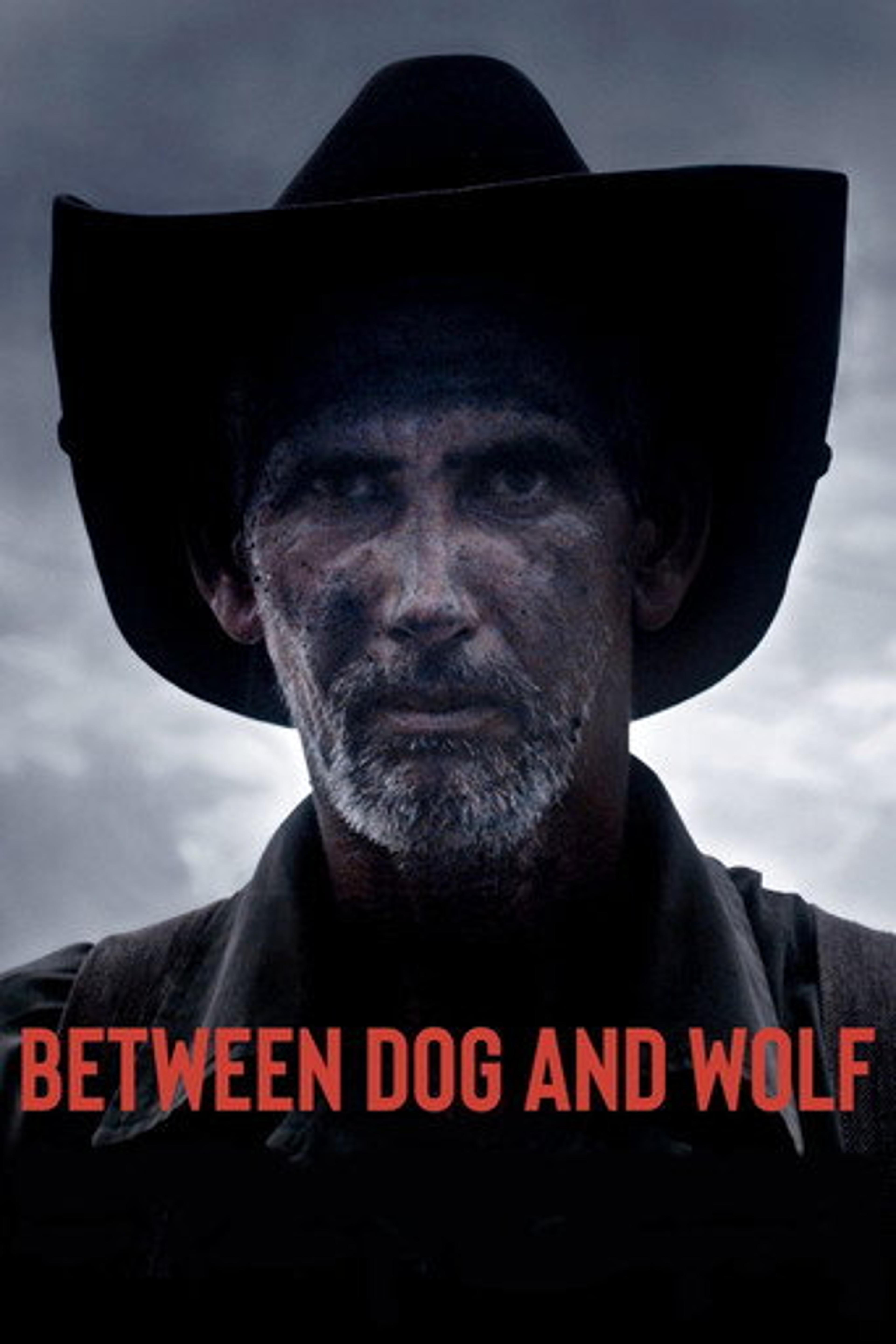 Poster film Between Dog and Wolf