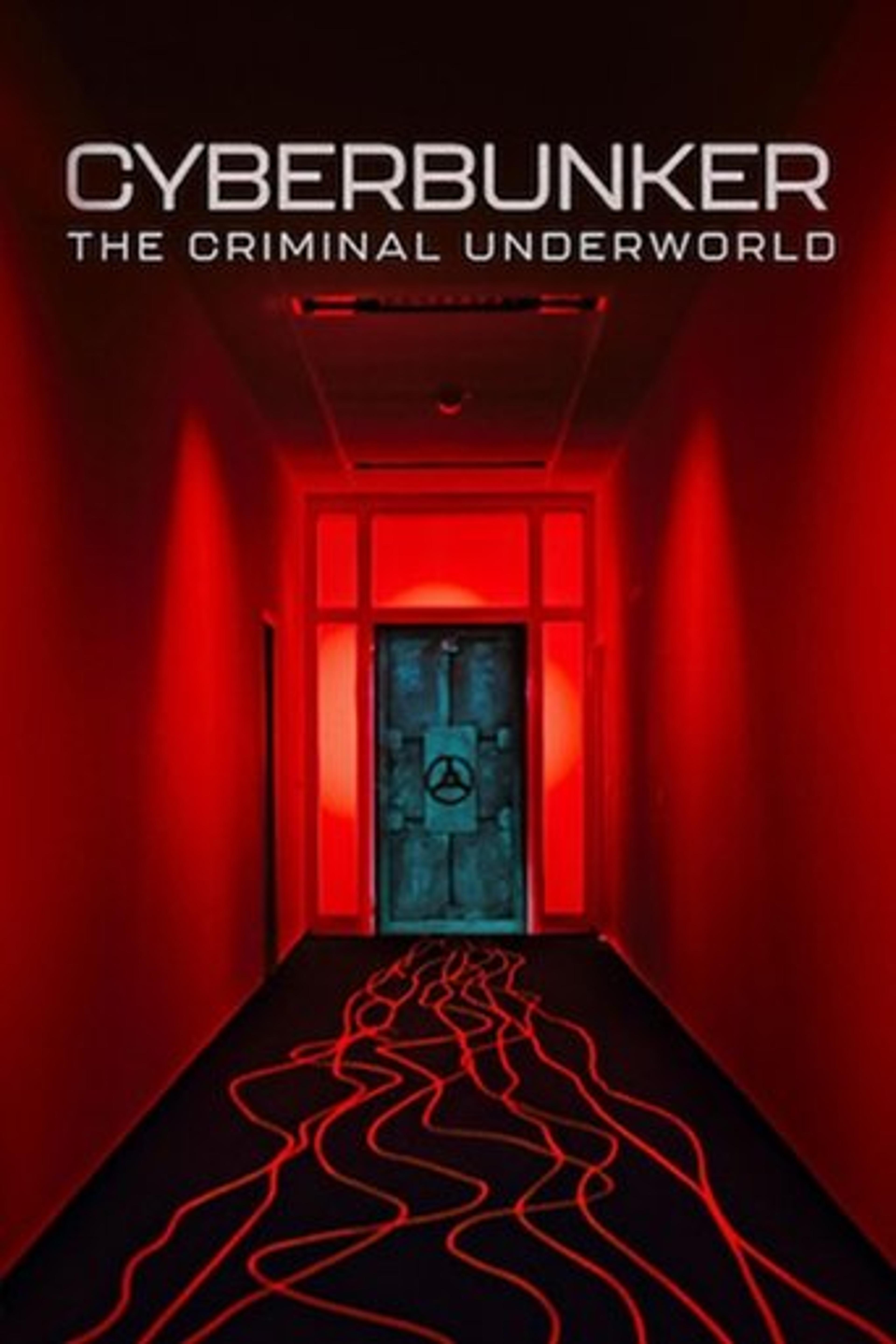Poster film Cyberbunker: The Criminal Underworld