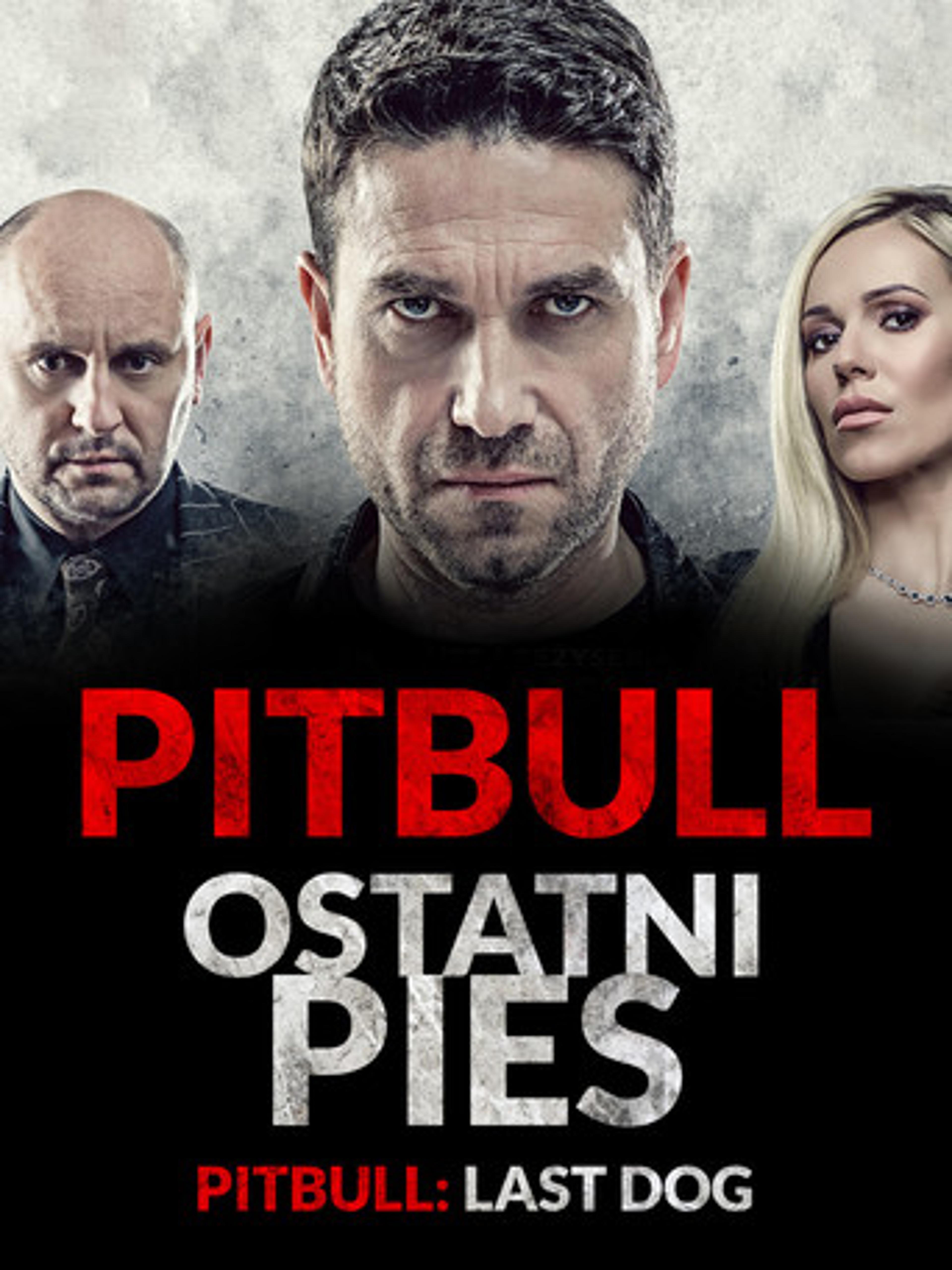 Poster film Pitbull. Last Dog