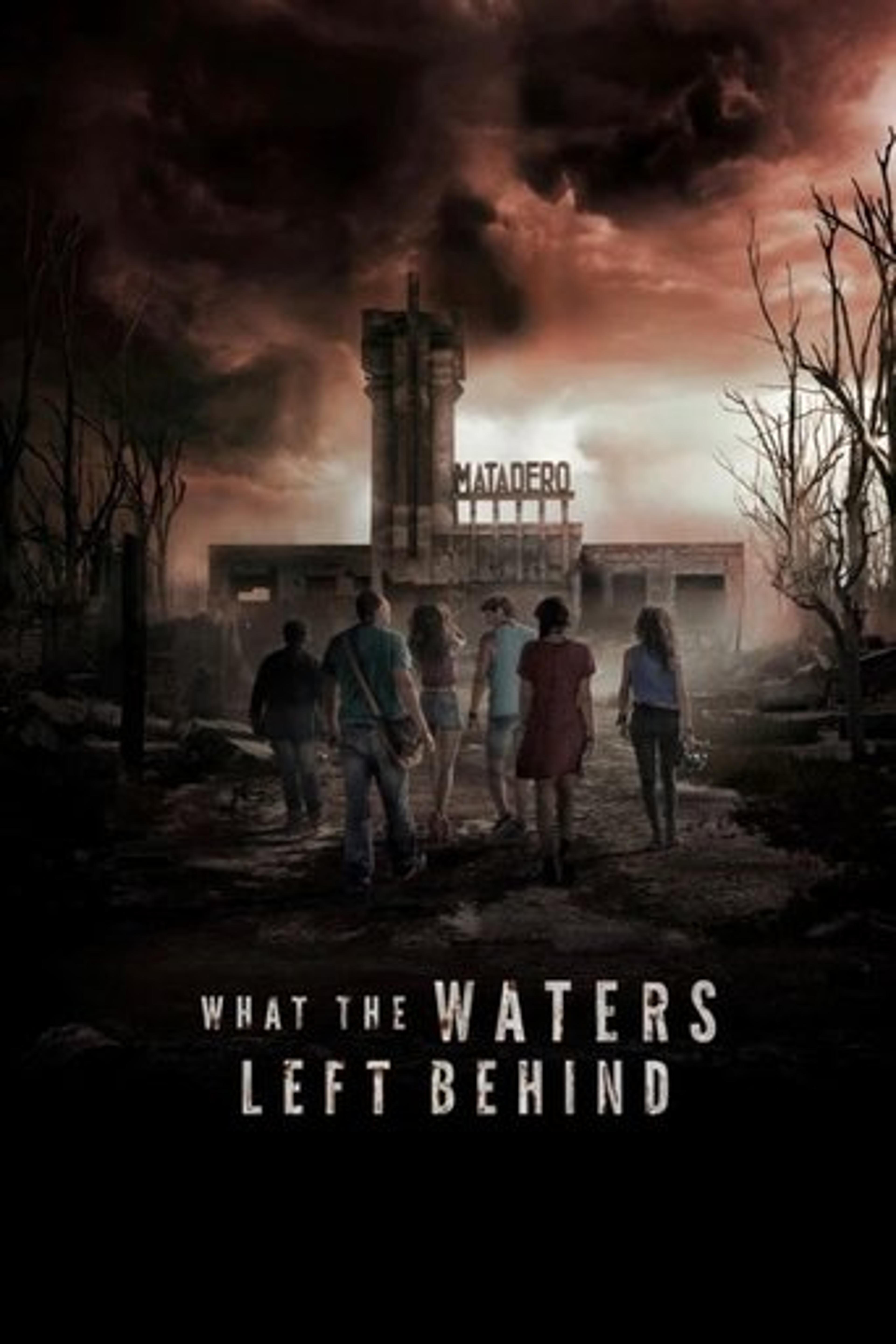 Poster film What the Waters Left Behind