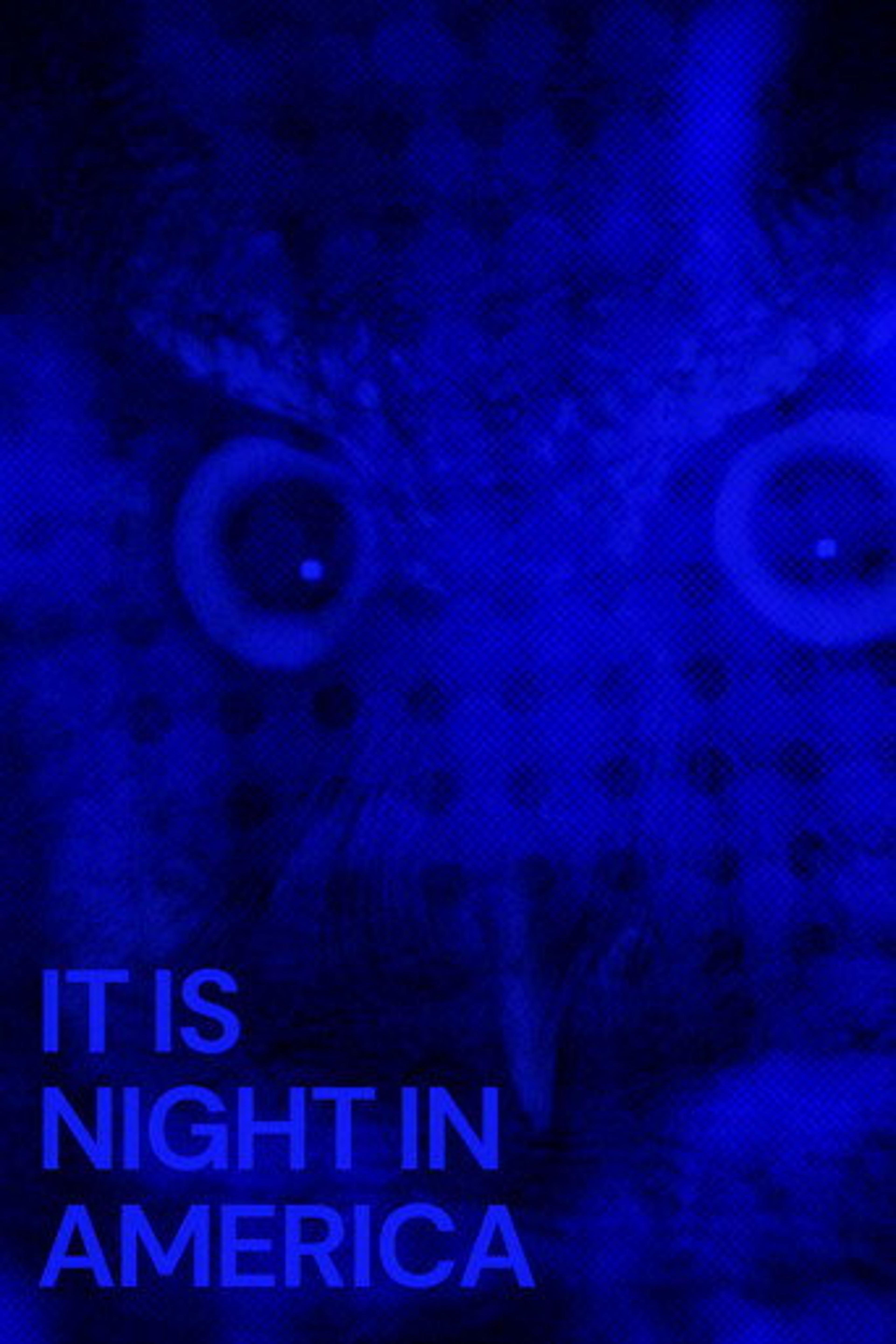 Poster film It Is Night in America