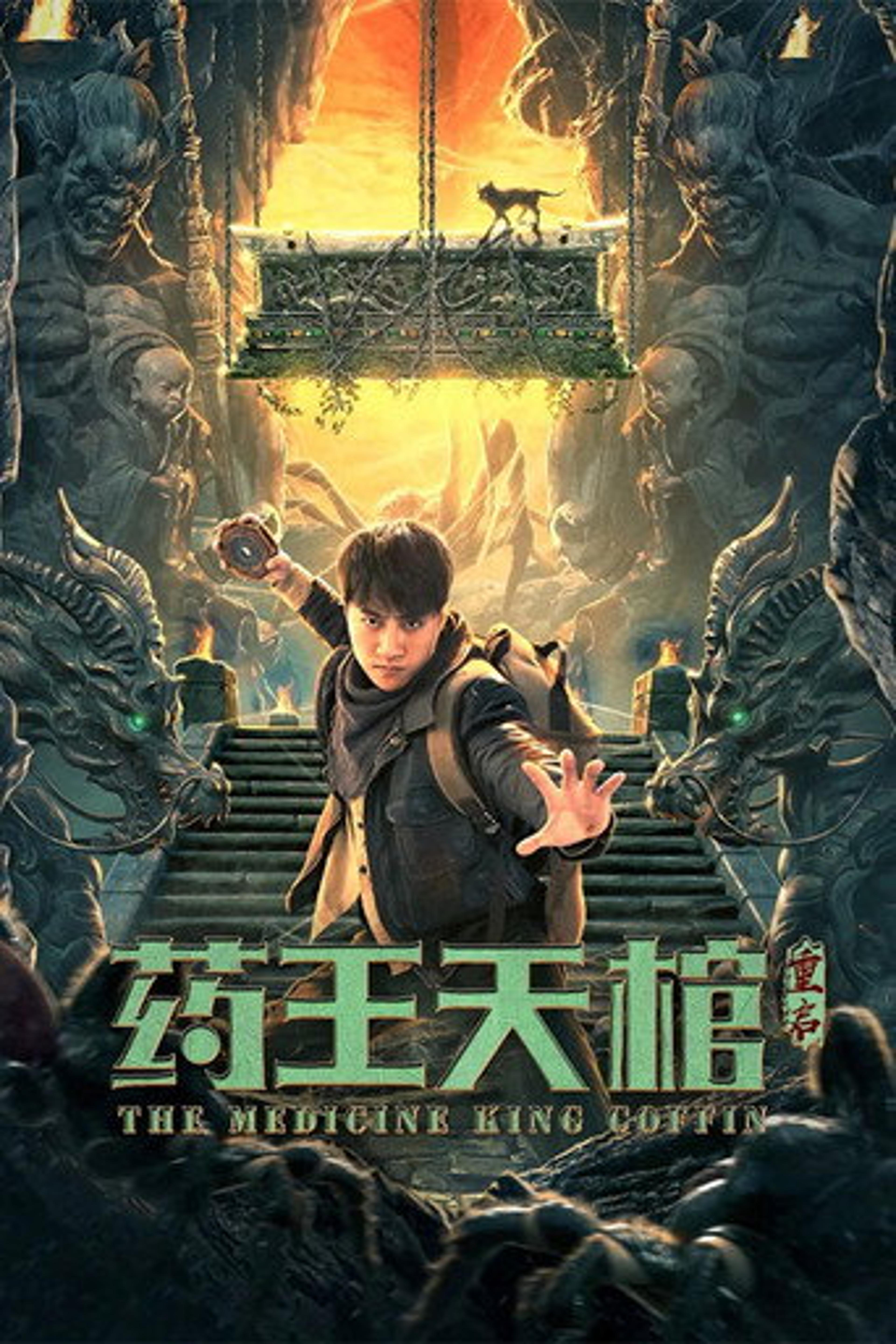 Poster film The Medicine King Coffin