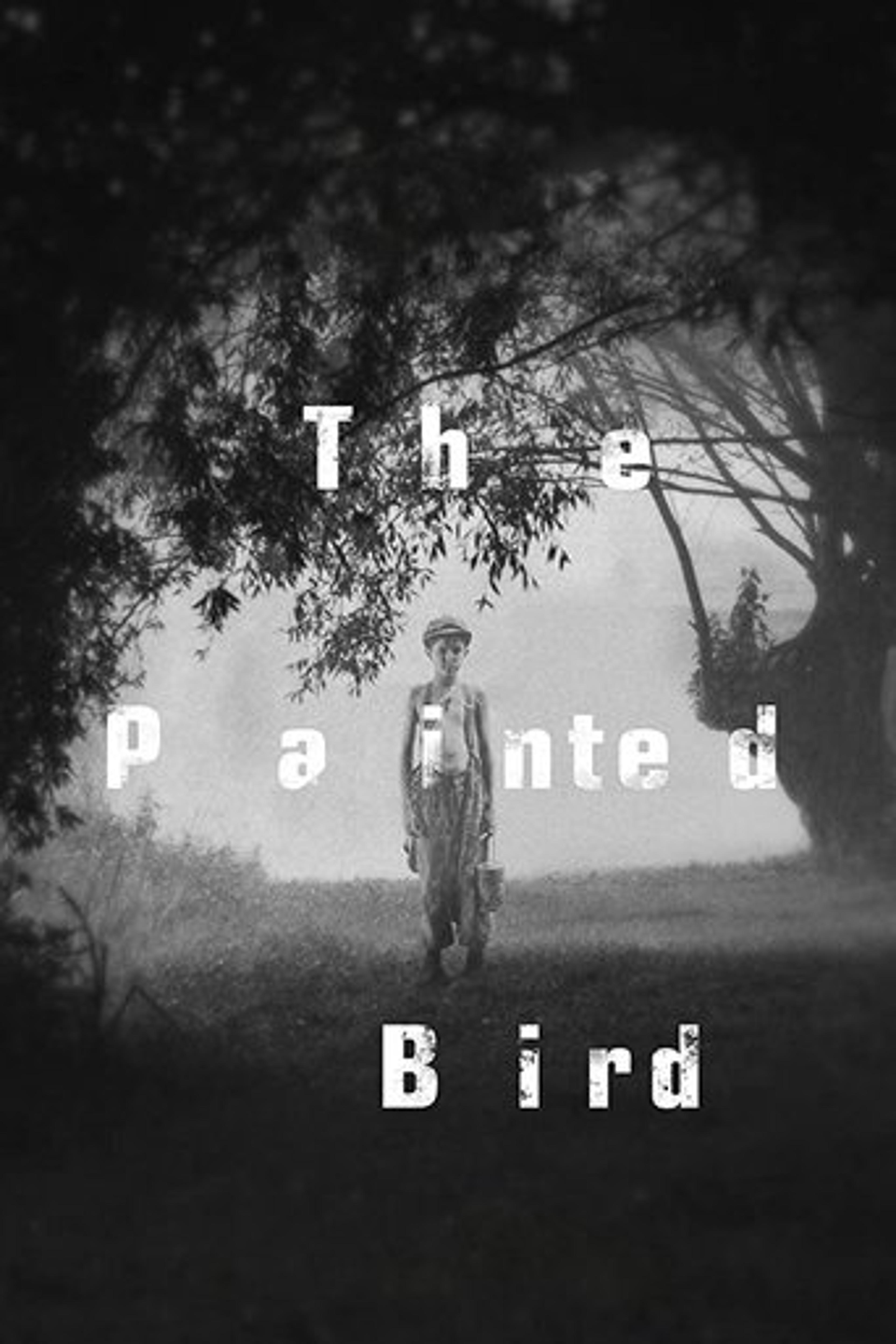 Poster film The Painted Bird