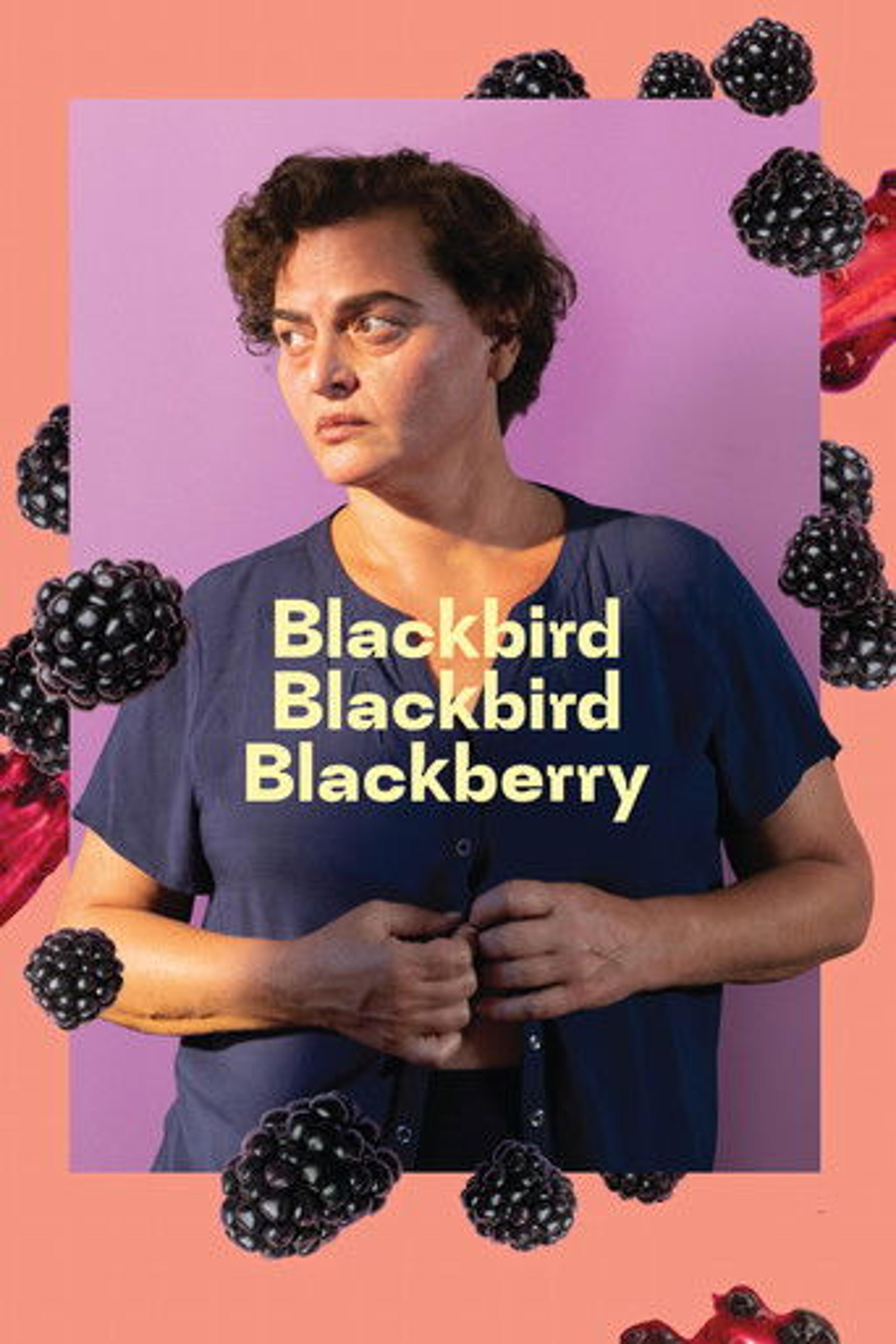 Poster film Blackbird Blackbird Blackberry