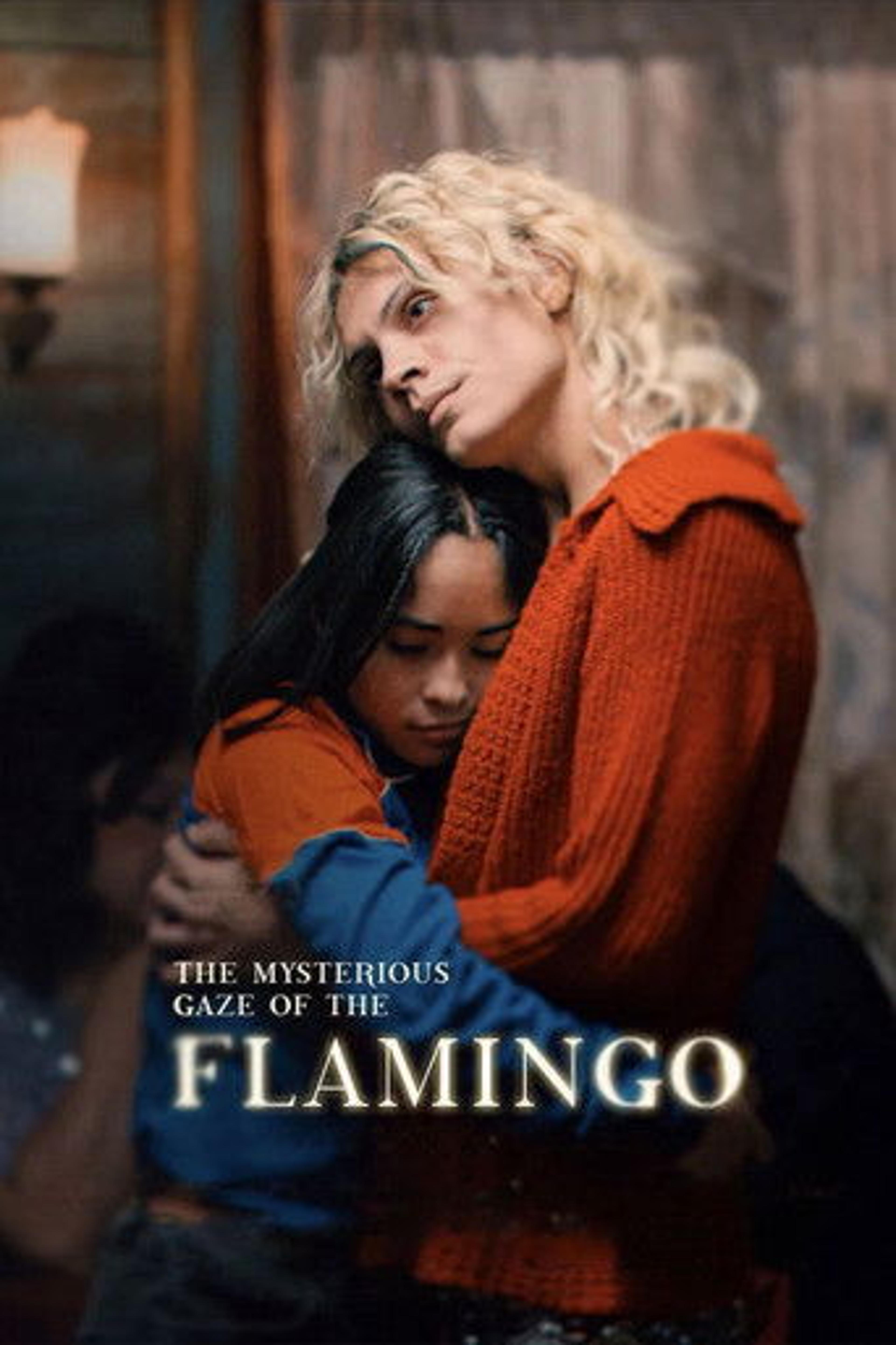 Poster film The Mysterious Gaze of the Flamingo