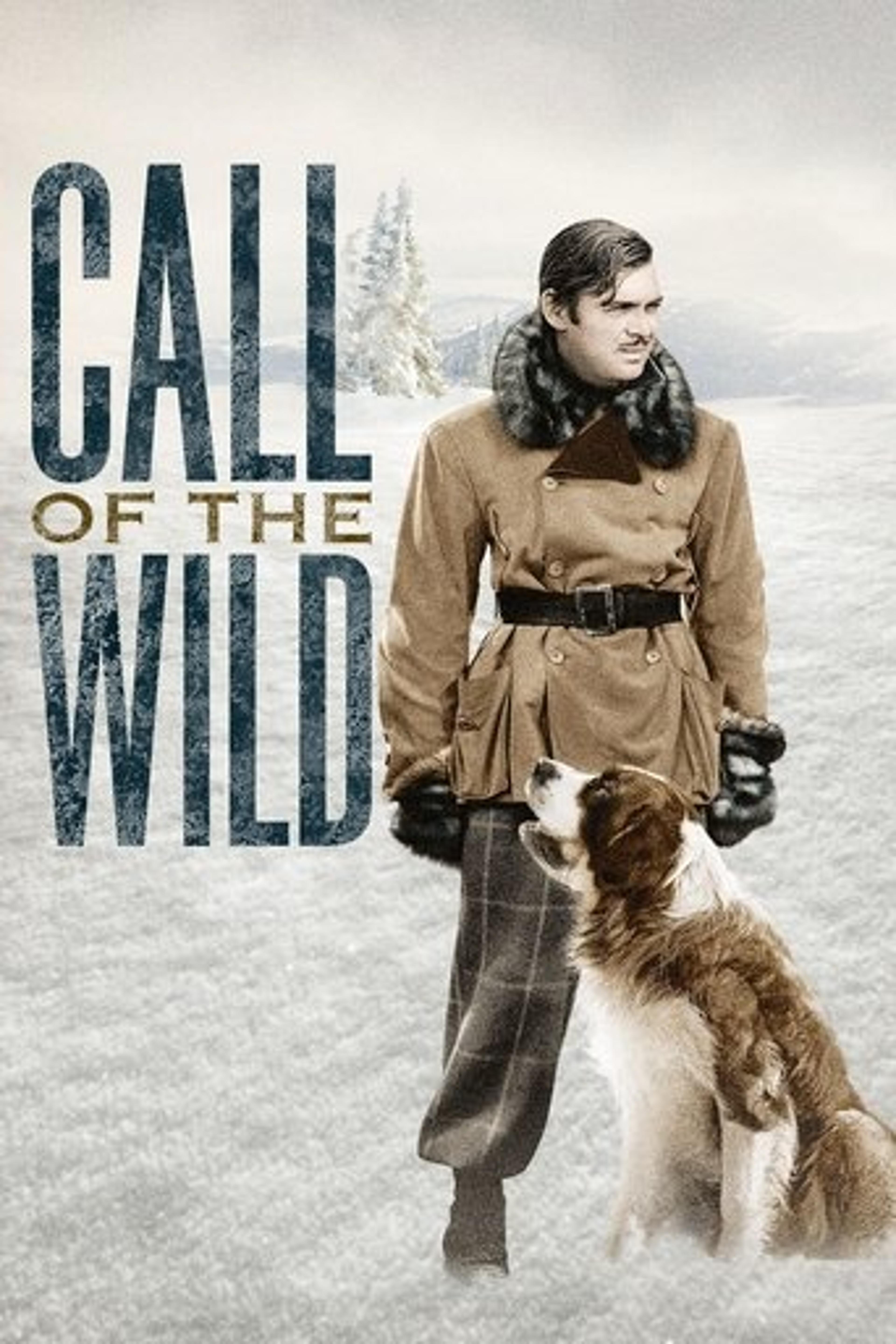 Poster film Call of the Wild