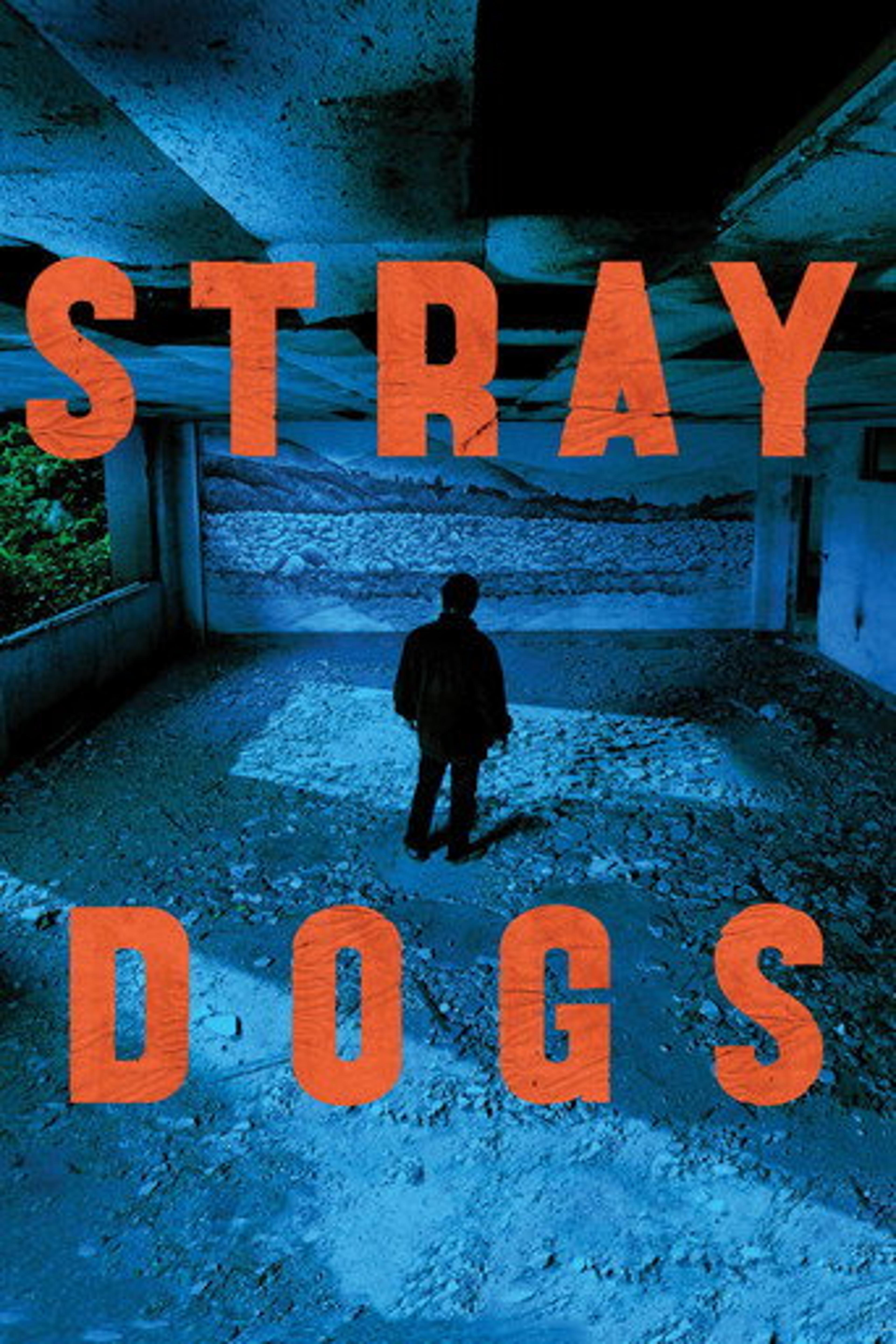 Poster film Stray Dogs