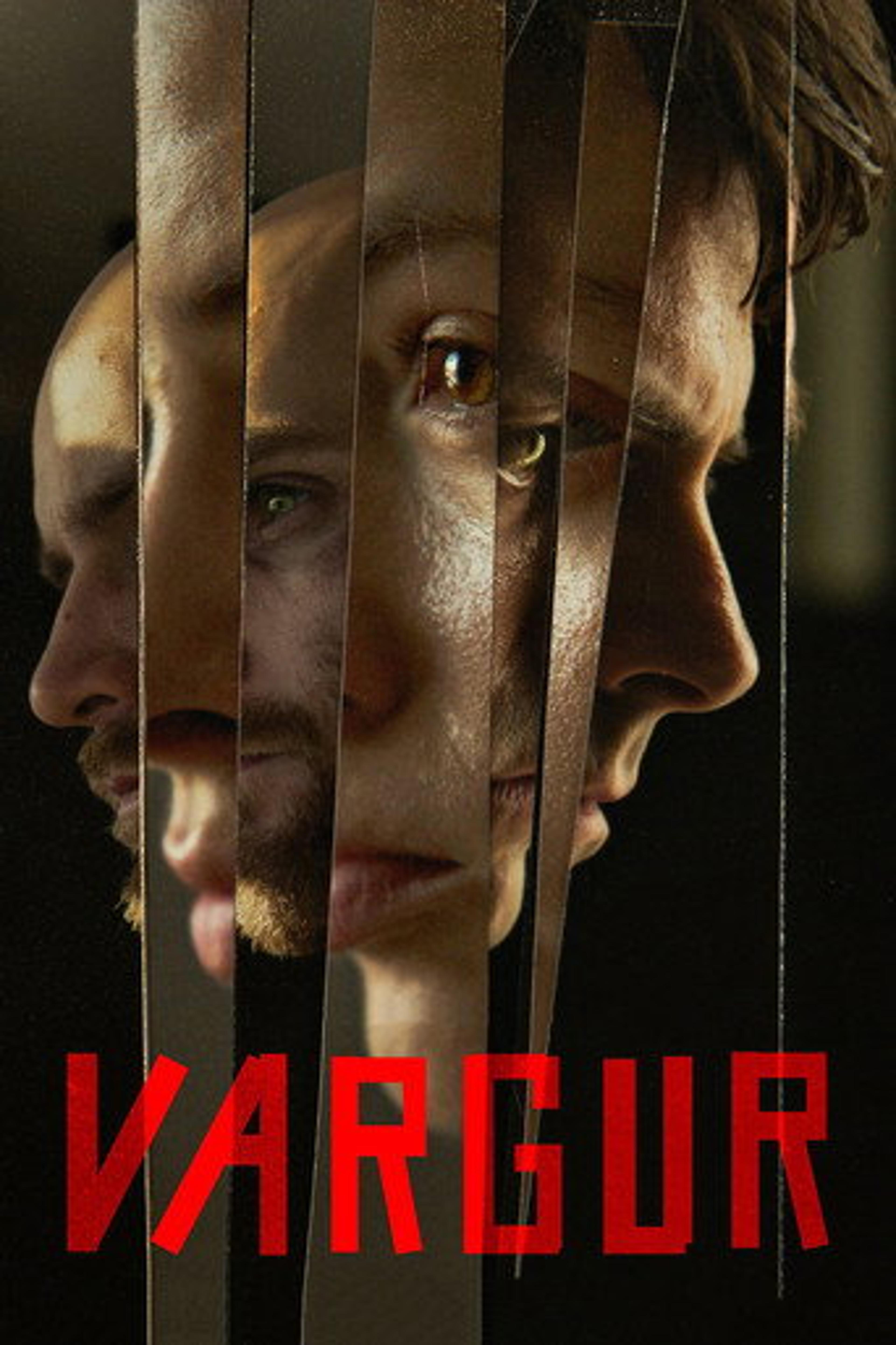 Poster film Vultures