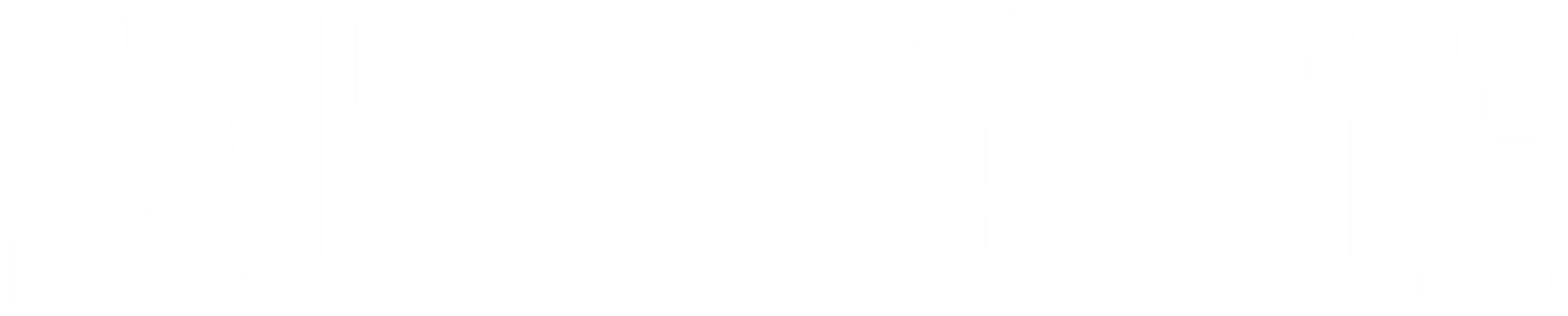 Fake Profile