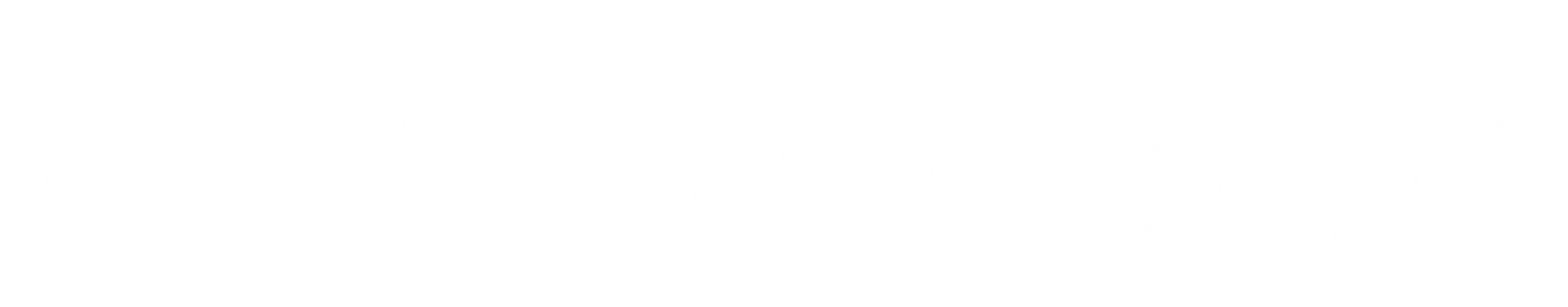 Rise of the Conqueror