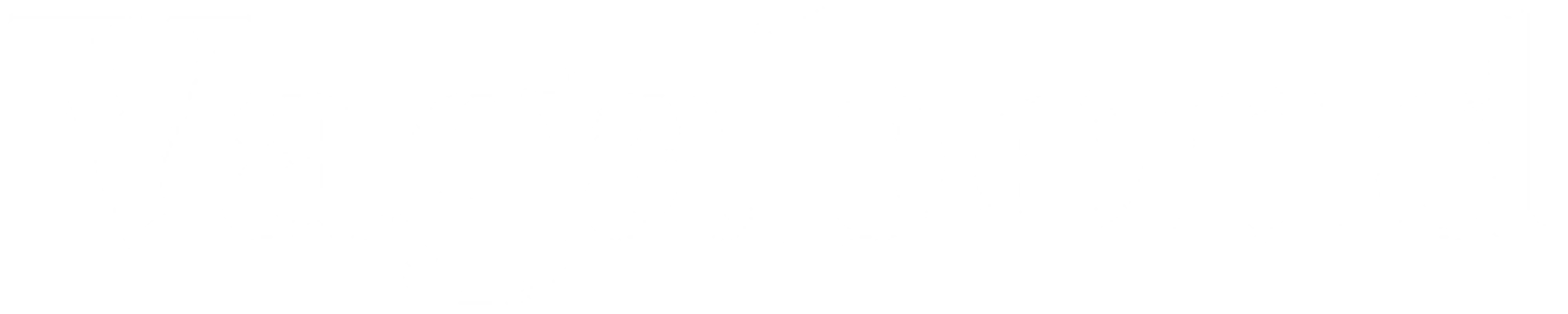 Vagabond