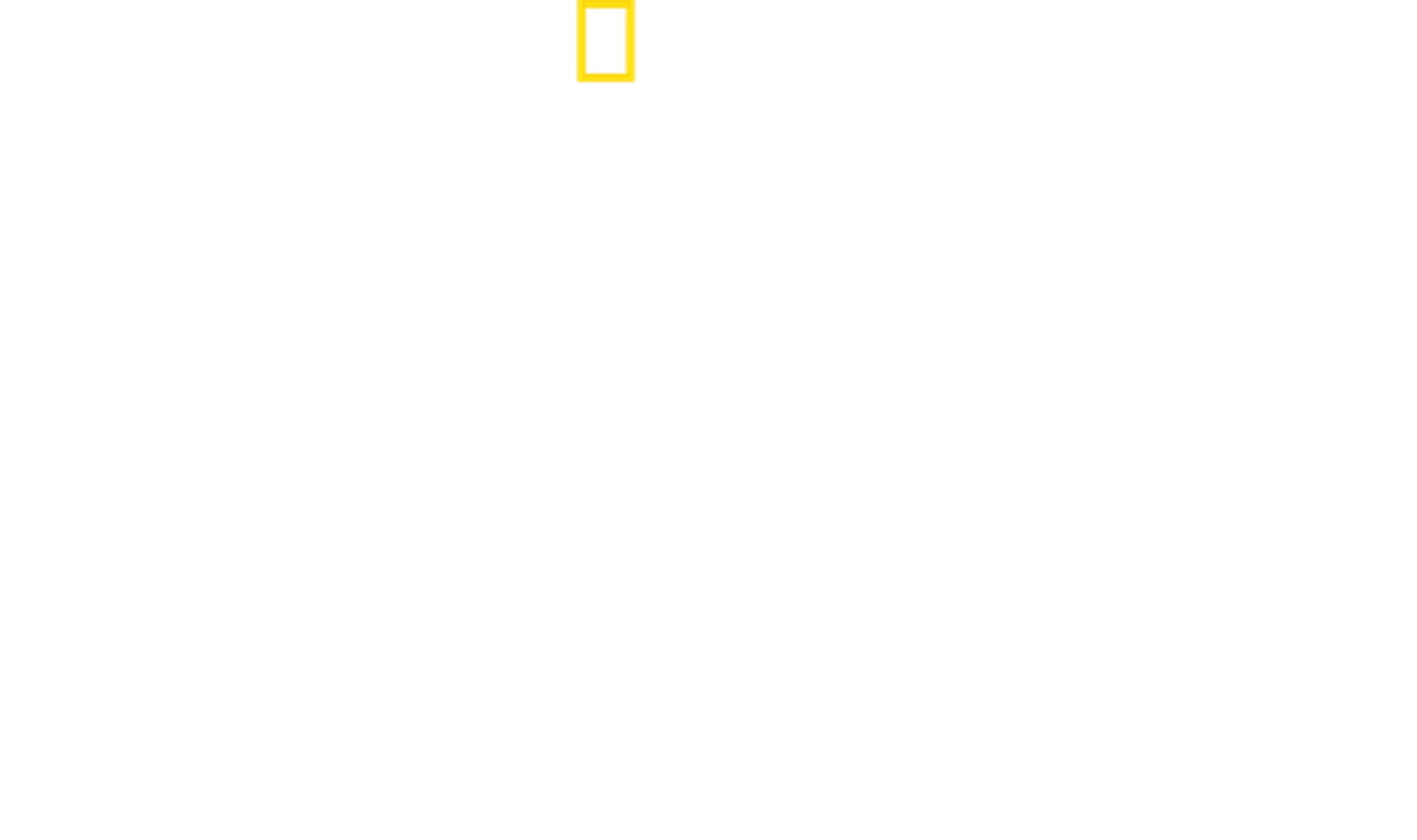 Cheetahs Up Close with Bertie Gregory