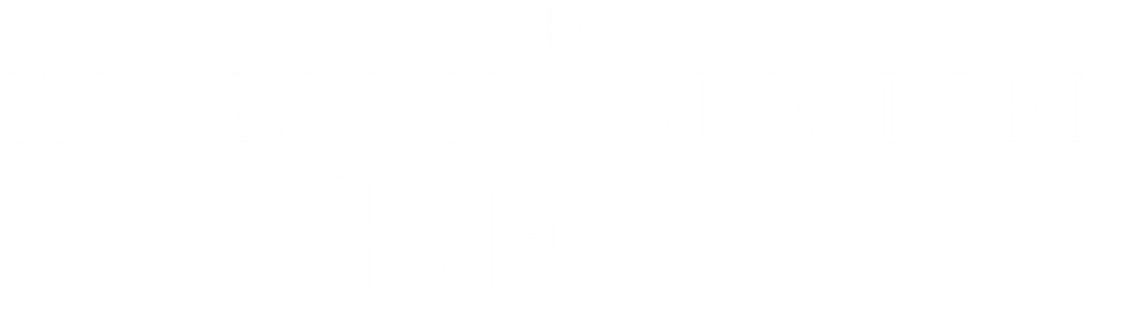 The Remarkable Life of Ibelin