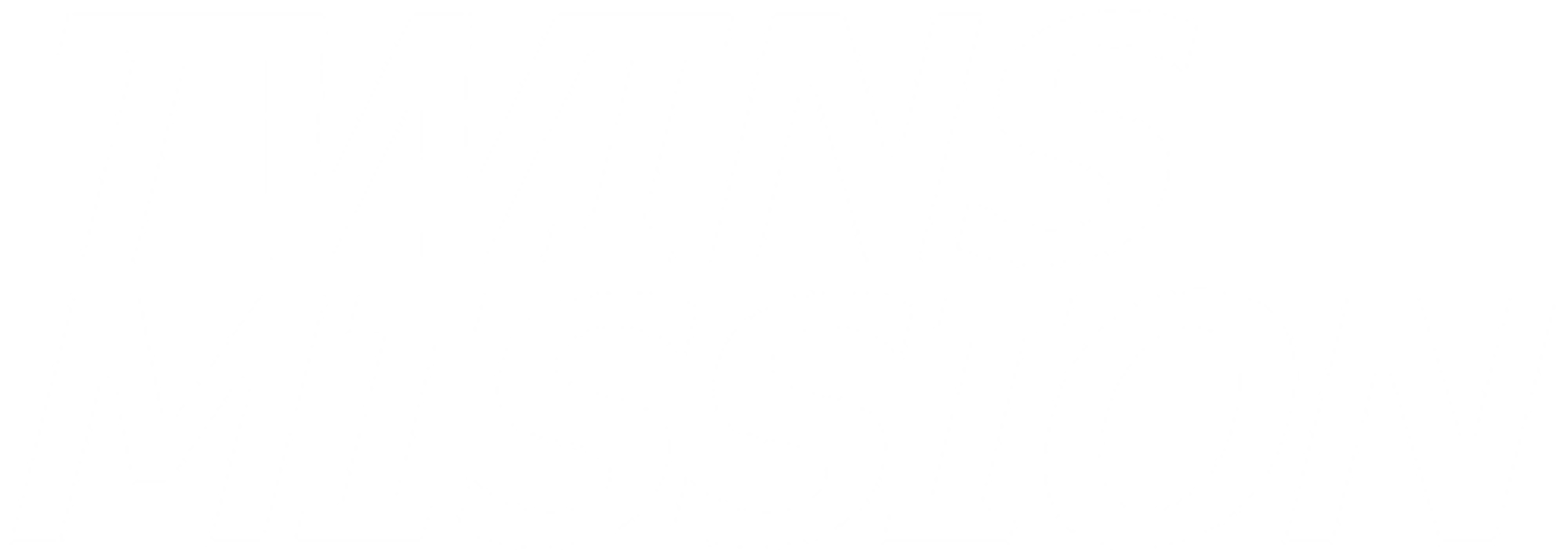 Twins Mission