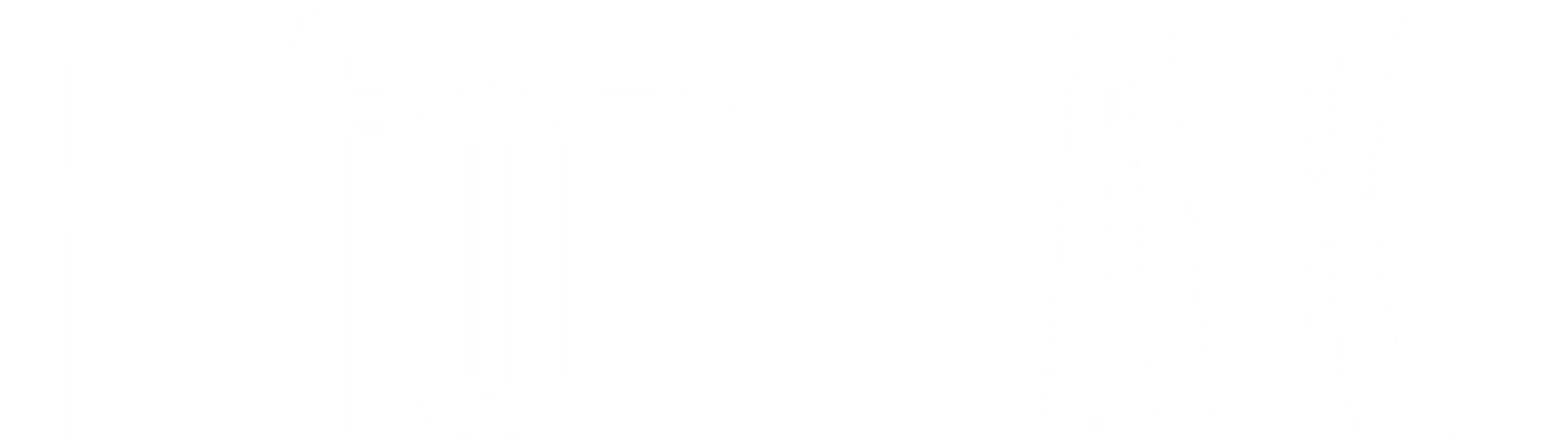 F for Fake